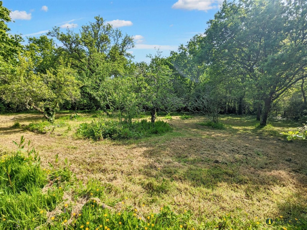 Lot: 115 - FREEHOLD DETACHED HOUSE FOR IMPROVEMENT AND BARN AND OUTBUILDINGS WITH POTENTIAL ON A PLOT CLOSE TO ONE AND A HALF ACRES - A View of Part of the Garden